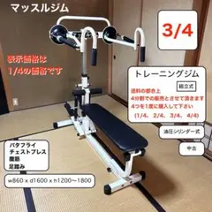2万円割引中古　チェストプレスマシーン PLS-0100 チェストプレス -TRUE フィットネス - 市販