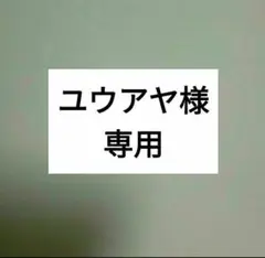 専用 ほっぷ イングリッシュ DVD キュリオス しまじろう