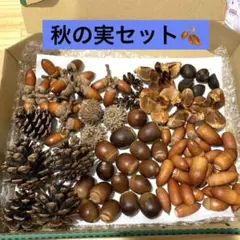 Item thumbnail for item a65d9307-10f4-4b9f-9d28-ff89cdb0037d