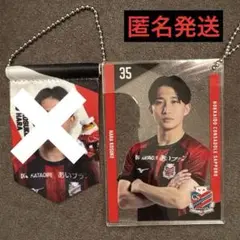 Item thumbnail for item 38053a7e-5d2b-4b1d-b19c-2d8874d75f97
