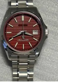 未使用保管品激レア【限定400本】AQ4020-54W The CITIZEN