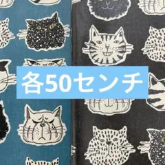 依頼品B
