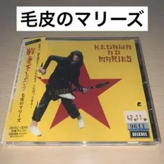 m49001563333_1.jpg?1728826327