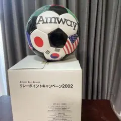 Amway サッカーボール リレーポイントキャンペーン2002