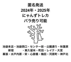 【匿名発送】猫カフェMOCHA 2024年・2025年にゃんずトレカ