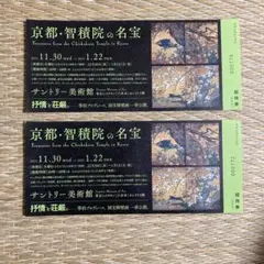 京都・智積院の名宝展 鑑賞券