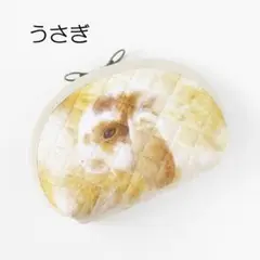 うさぎ　ポーチ　小物入れ　コスメポーチ　化粧ポーチ　ファスナーポーチ　たれ耳　②