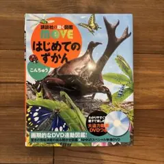 MOVE はじめてのずかん DVDなし