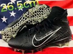 Item thumbnail for item 5bdd6215-742d-4914-87e0-34b15690442c