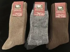 Item thumbnail for item b5f7a8a7-6329-449b-862b-a5c936f87986