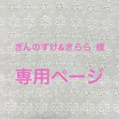 [専用] ぎんのすけ&きらら様　バッグインバッグ