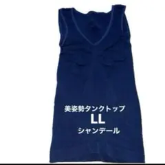 Item thumbnail for item e062eb37-b97c-4f24-beea-5a868c652e44