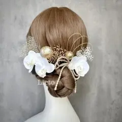 Item thumbnail for item 35f91738-b628-4516-ad74-e79a2545a41a