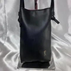 ロベルタディカメリーノ カーブス スマホショルダーバッグ レディースバッグ