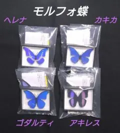 ドイツ箱　マグネットコレクション　モルフォ蝶特装版　計4種 各1個