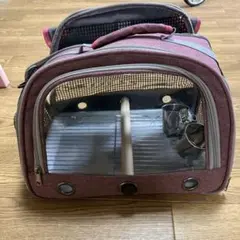 Item thumbnail for item 719bafbd-ef3f-4b33-8c62-190d61ce9da5