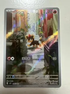 シシコar ポケモンカード