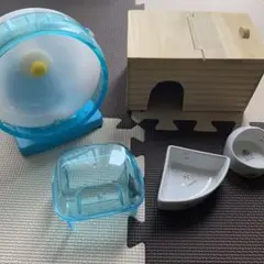 Item thumbnail for item 621a87ad-b184-4fe2-a56e-dd908f9fad33