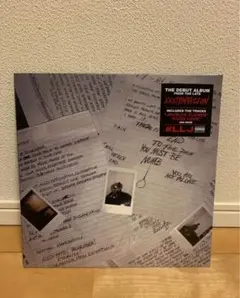 シュリンク新品未使用XXXTENTACION『17』LP カラーレコード説明