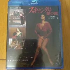 【未開封】スキャンダル愛の罠
