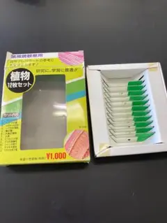 Item thumbnail for item 3f71f325-bc91-4110-8587-76c80ddf1c14