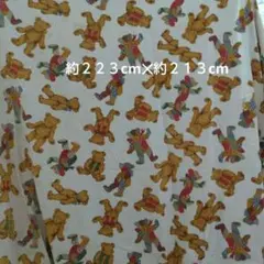 Item thumbnail for item 809e34e1-c10f-4af3-98e6-b22fda18c1e2