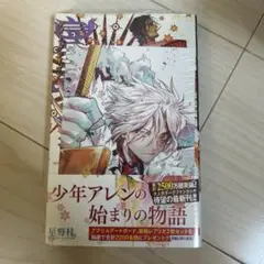 D.Gray-man 28巻　特典付き