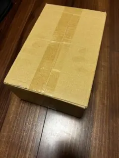 【新品未開封】ポケモンセンター トウホク スペシャルBOX
