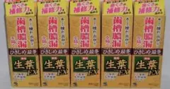 生葉EX 5本セット 小林製薬 新品