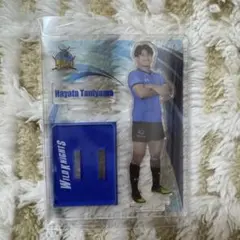 埼玉パナソニックワイルドナイツ 谷山隼大