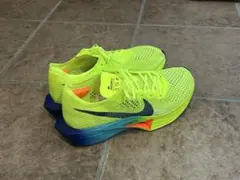 Item thumbnail for item eddbd260-4f58-4d29-8136-f4ca5c94339c