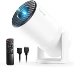 Item thumbnail for item 3a0007e5-d821-4005-ba28-f6dee92aa559