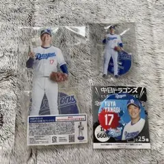 中日ドラゴンズ 柳裕也 アクリルスタンド 17 くじ　缶バッジ　フィニッシュ賞