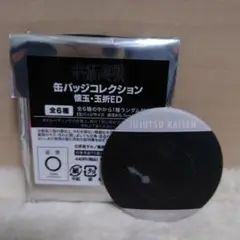 呪術廻戦 缶バッジコレクション 懐玉・玉折ED