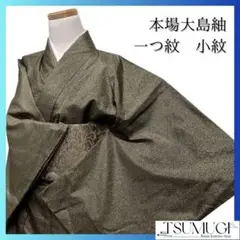 Item thumbnail for item 358c2aa6-558c-45fa-8d47-3b2db5636e3d