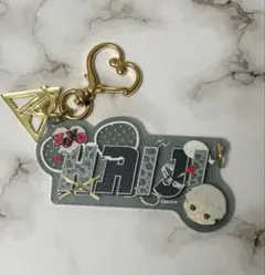 [ 匿名配送 ]DIG-ROCK 墨染妃志 ネームアクリルキーホルダー