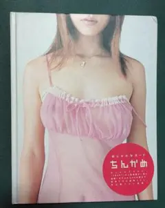 お盆セール ちんかめ どこでもスナップ 宝島社 4冊セット