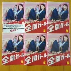 全開ガール 全６巻　レンタル落ちDVDセット■ケース無し　新垣結衣 錦戸亮