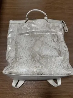 【格安‼︎】COLE HAAN バックパック