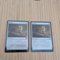 MTG 儚い存在 2枚セット