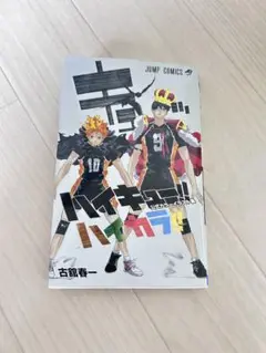 ハイキュー！！公式カラーイラスト集 ハイカラ！！