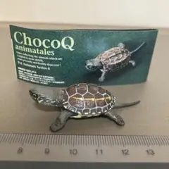 チョコQ銭亀