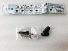 未使用　ユージン　原色淡水魚図鑑Ⅰ　ニッコウイワナ　フィギュア