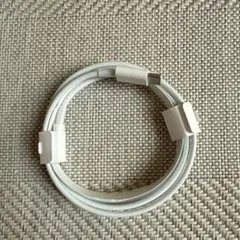 Apple正規品 Lightningケーブル