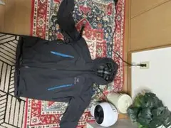ARC'TERYX ベータジャケット