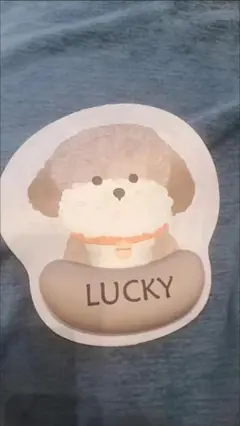 LUCKY犬クッション