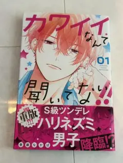 カワイイなんて聞いてない！1-9巻セット
