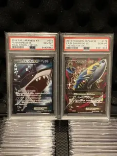 MサメハダーEX PSA10 PSA10鑑定済〕サメハダーEX【SR】{074/070}