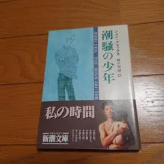 潮騒の少年