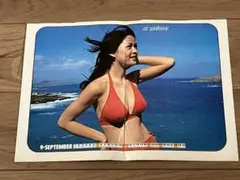 ★早乙女愛ビキニ水着ポスターカレンダー昭和★